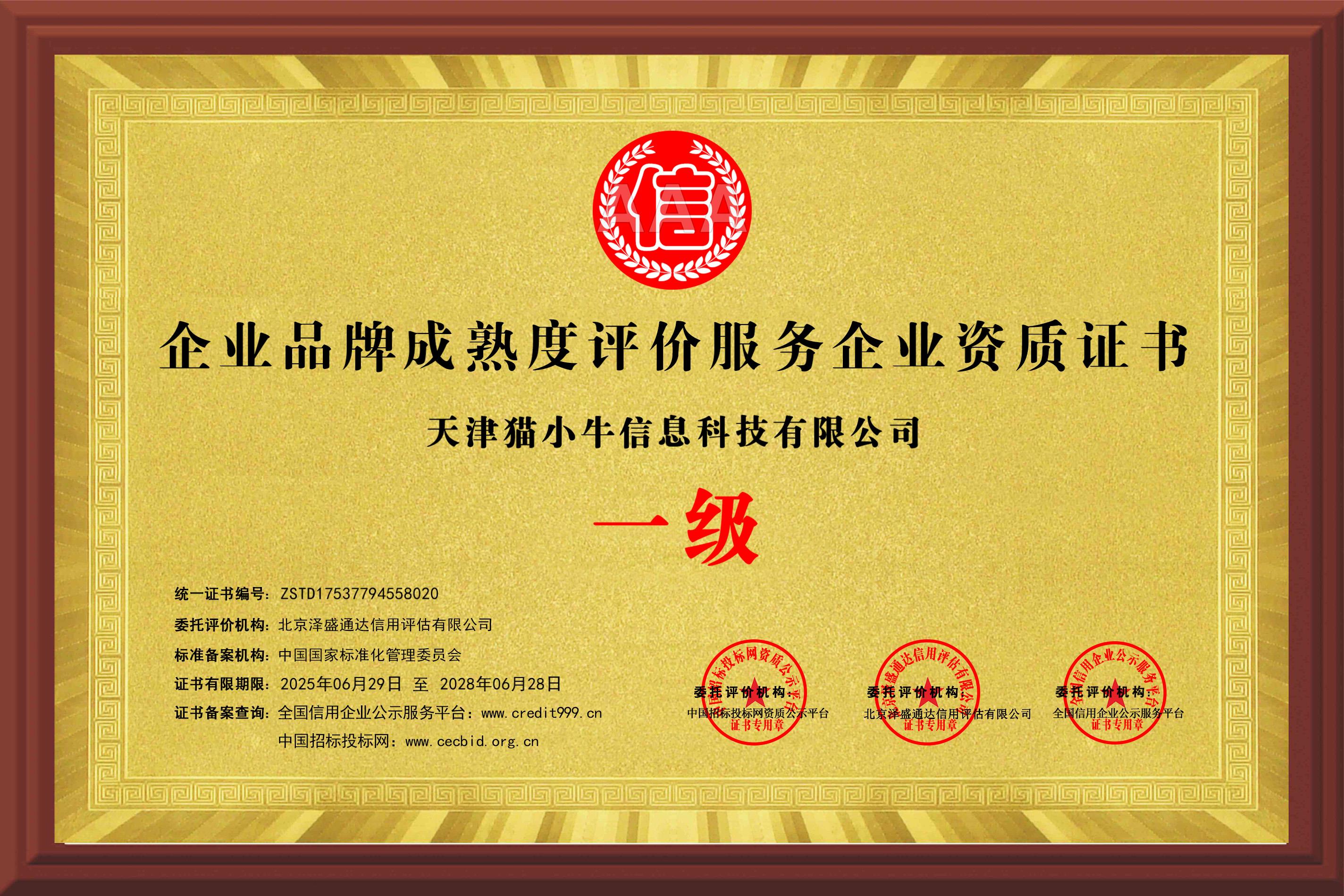 品牌成熟度评价一级